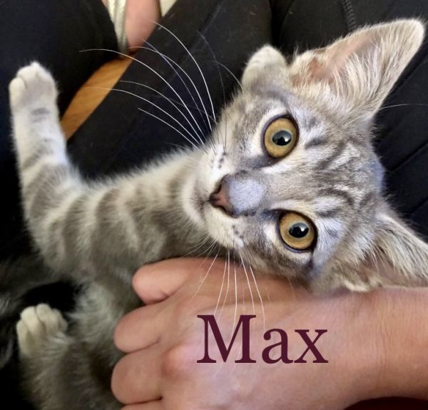 Max