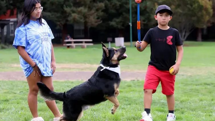 Animals supported by the Paws In Need community